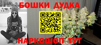 сатива Заводоуковск
