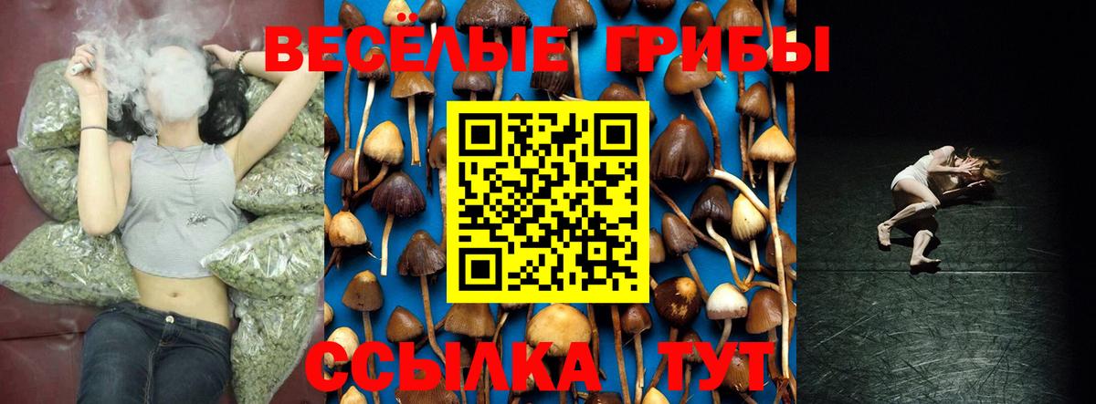 Псилоцибиновые грибы Psilocybine cubensis Магнитогорск